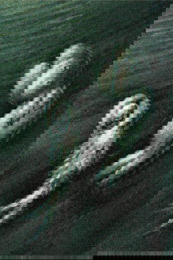 The Tale of Tran Thanh Duong Poster of The Tale of Tran Thanh Duong