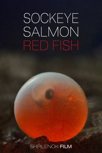 Sockeye Salmon. Red Fish Poster of Sockeye Salmon. Red Fish