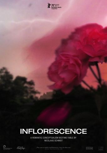 Inflorescence Poster of Inflorescence