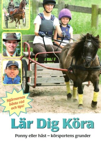 Lär dig köra Poster of Lär dig köra