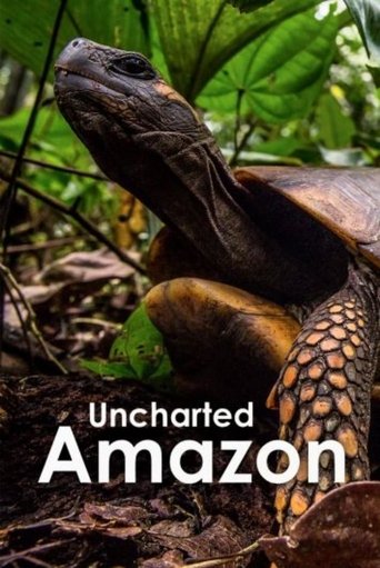 Uncharted Amazon Poster of Uncharted Amazon