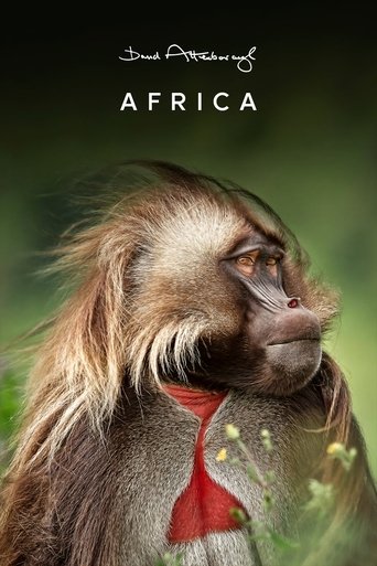 Africa Poster of Africa