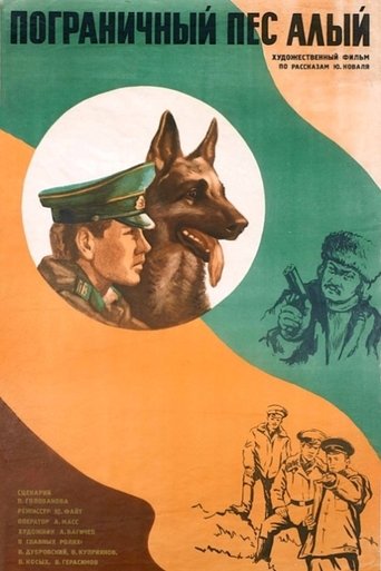 Border Dog Scarlet Poster of Border Dog Scarlet