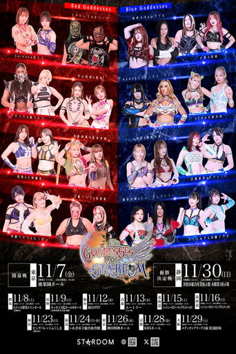 Stardom Goddesses of Stardom Tag League 2025 - Day 13 (Final) Poster of Stardom Goddesses of Stardom Tag League 2025 - Day 13 (Final)