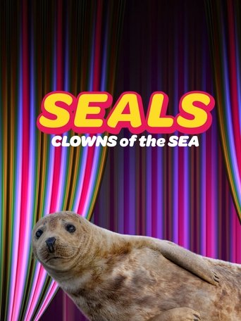 Seals - Clowns of the Sea Poster of Seals - Clowns of the Sea
