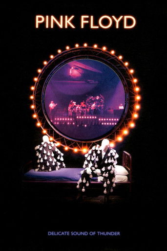 Pink Floyd: Delicate Sound of Thunder Poster of Pink Floyd: Delicate Sound of Thunder