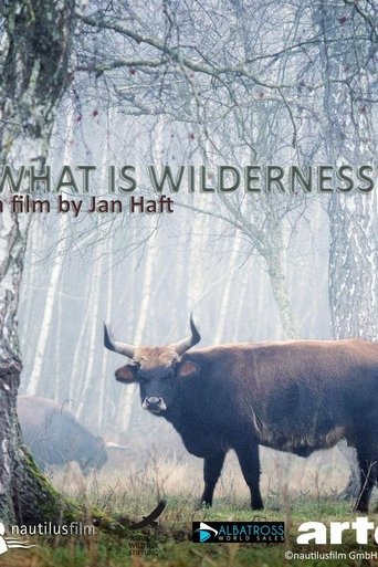 What is Wilderness Poster of What is Wilderness