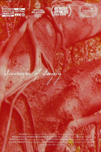 Landscapes of Longing Poster of Landscapes of Longing