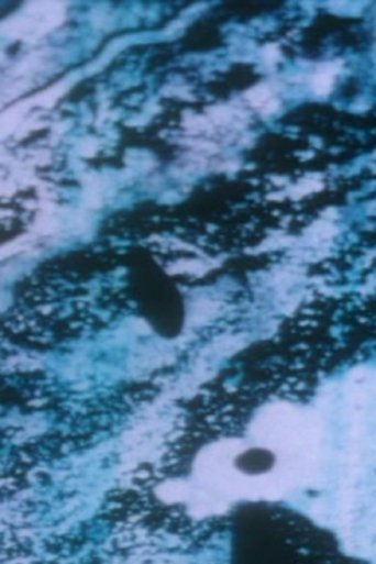 Anomalies of the Unconscious Poster of Anomalies of the Unconscious