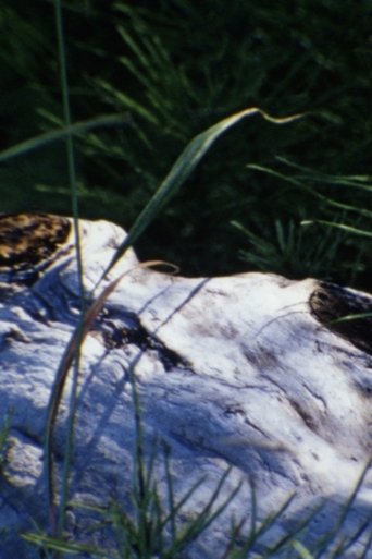 au bord de la rivière Poster of au bord de la rivière