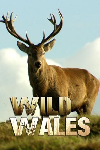 Wild Wales Poster of Wild Wales