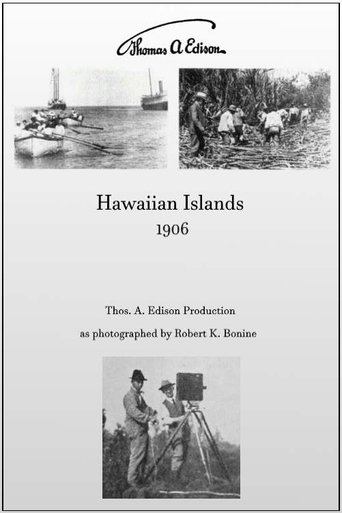 Hawaiian Islands Poster of Hawaiian Islands