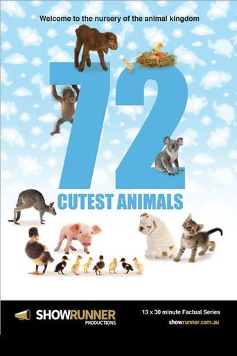 72 Cutest Animals Poster of 72 Cutest Animals