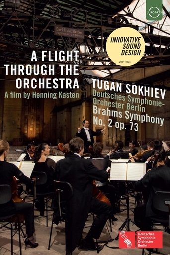A Flight Through the Orchestra Poster of A Flight Through the Orchestra