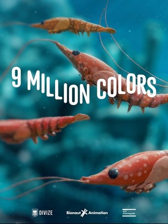 9 Million Colors Poster of 9 Million Colors