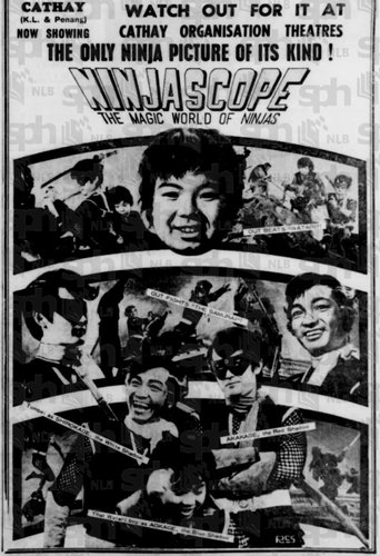 Ninjascope: The Magic World of Ninjas Poster of Ninjascope: The Magic World of Ninjas