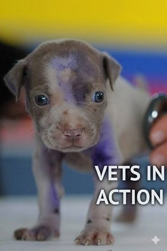 Vets In Action Poster of Vets In Action