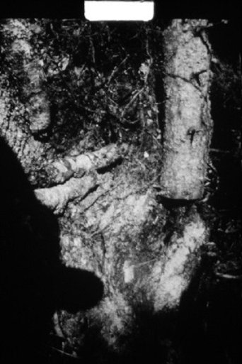 The Hunter Hunted Poster of The Hunter Hunted