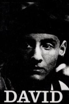 David Poster of David