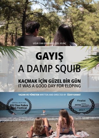 A Damp Squib Poster of A Damp Squib