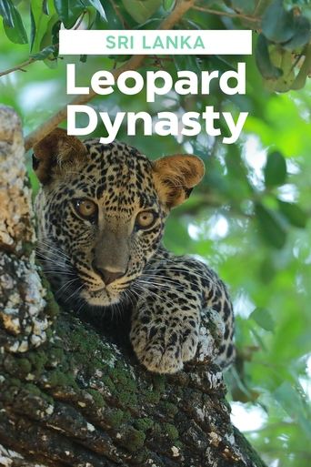 Sri Lanka: Leopard Dynasty Poster of Sri Lanka: Leopard Dynasty