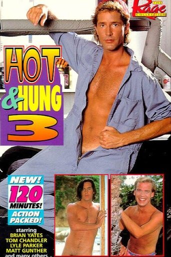 Hot & Hung 3 Poster of Hot & Hung 3