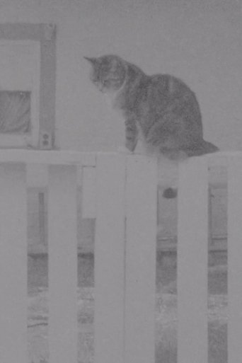 Utrimque Poster of Utrimque