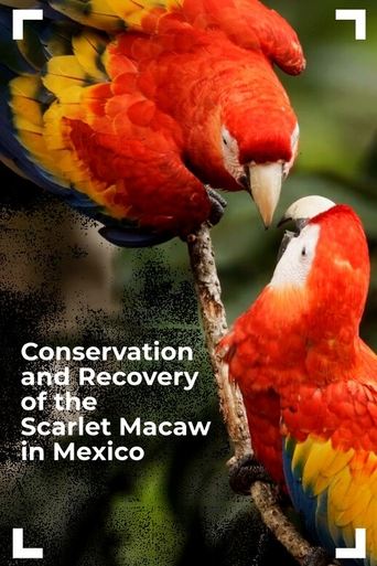 Conservation and Recovery of the Scarlet Macaw in Mexico Poster of Conservation and Recovery of the Scarlet Macaw in Mexico