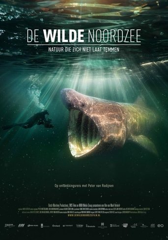 North See - Nature Untamed Poster of North See - Nature Untamed
