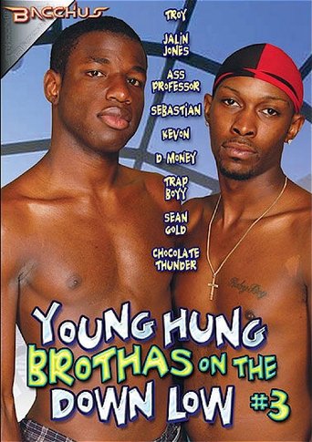Young Hung Brothas on the Down Low 3 Poster of Young Hung Brothas on the Down Low 3