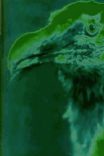 Air Force Poster of Air Force