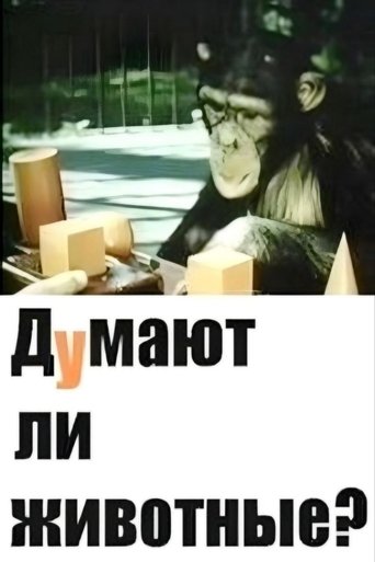 Do Animals Think? Poster of Do Animals Think?