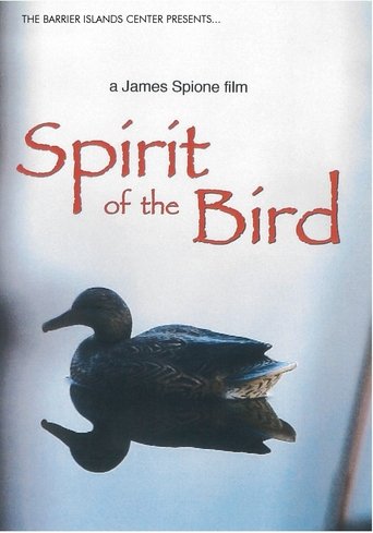 Spirit Of The Bird Poster of Spirit Of The Bird