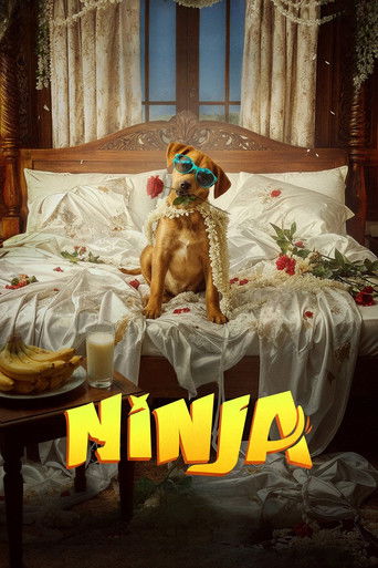Ninja Poster of Ninja