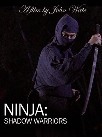 Ninja Shadow Warriors Poster of Ninja Shadow Warriors