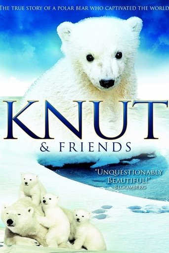 Knut & Friends Poster of Knut & Friends