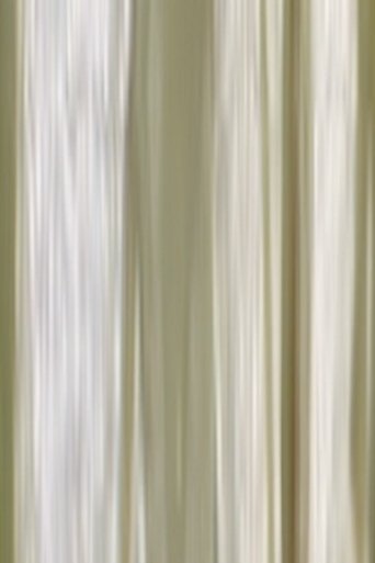 Silence Poster of Silence