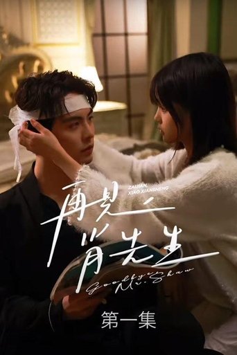 再见了,肖先生 Poster of 再见了,肖先生