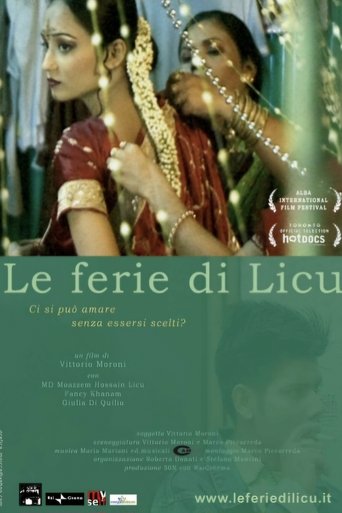 Licu's holidays Poster of Licu's holidays