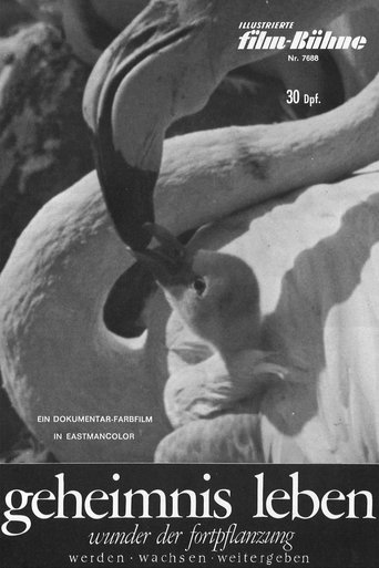 Geheimnis Leben - Wunder der Fortpflanzung Poster of Geheimnis Leben - Wunder der Fortpflanzung