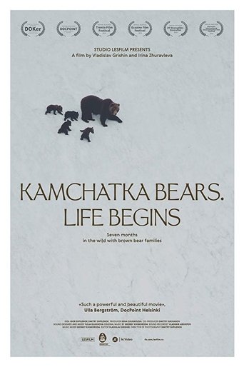 Kamchatka Bears. Life Begins Poster of Kamchatka Bears. Life Begins