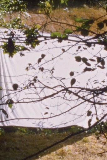 White Screen (for Amy Halpern) Poster of White Screen (for Amy Halpern)