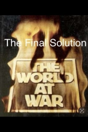 The Final Solution Poster of The Final Solution