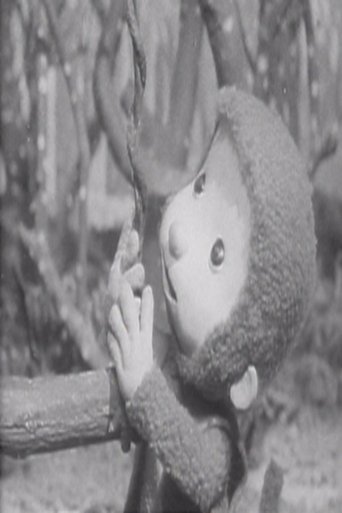Little Monkey on a Swing Poster of Little Monkey on a Swing