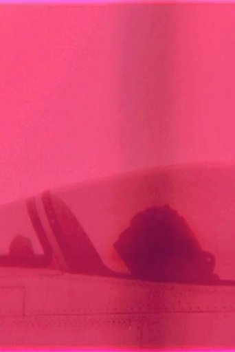 Falcon Poster of Falcon