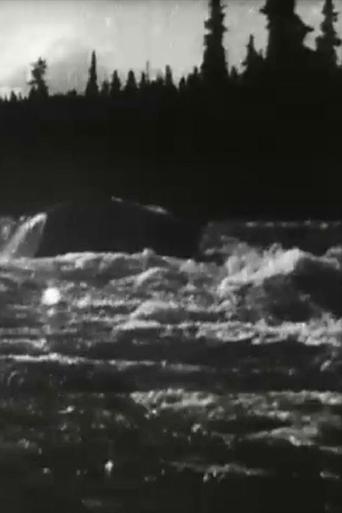 White Horse Rapids Poster of White Horse Rapids