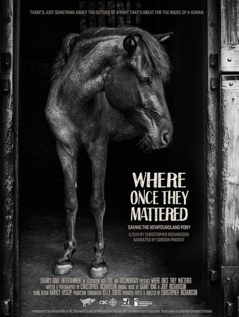 Where Once They Mattered Poster of Where Once They Mattered