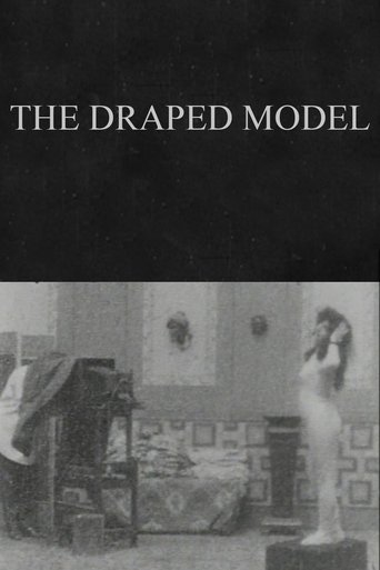 The Draped Model Poster of The Draped Model