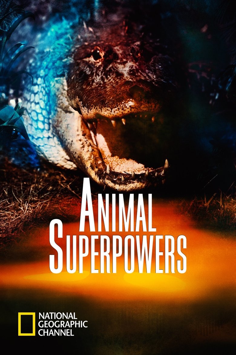 Animal Superpowers Poster of Animal Superpowers