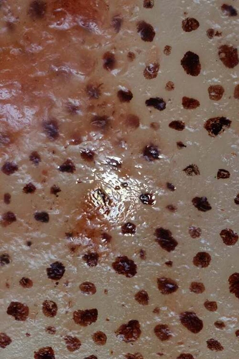 Social Synth Poster of Social Synth